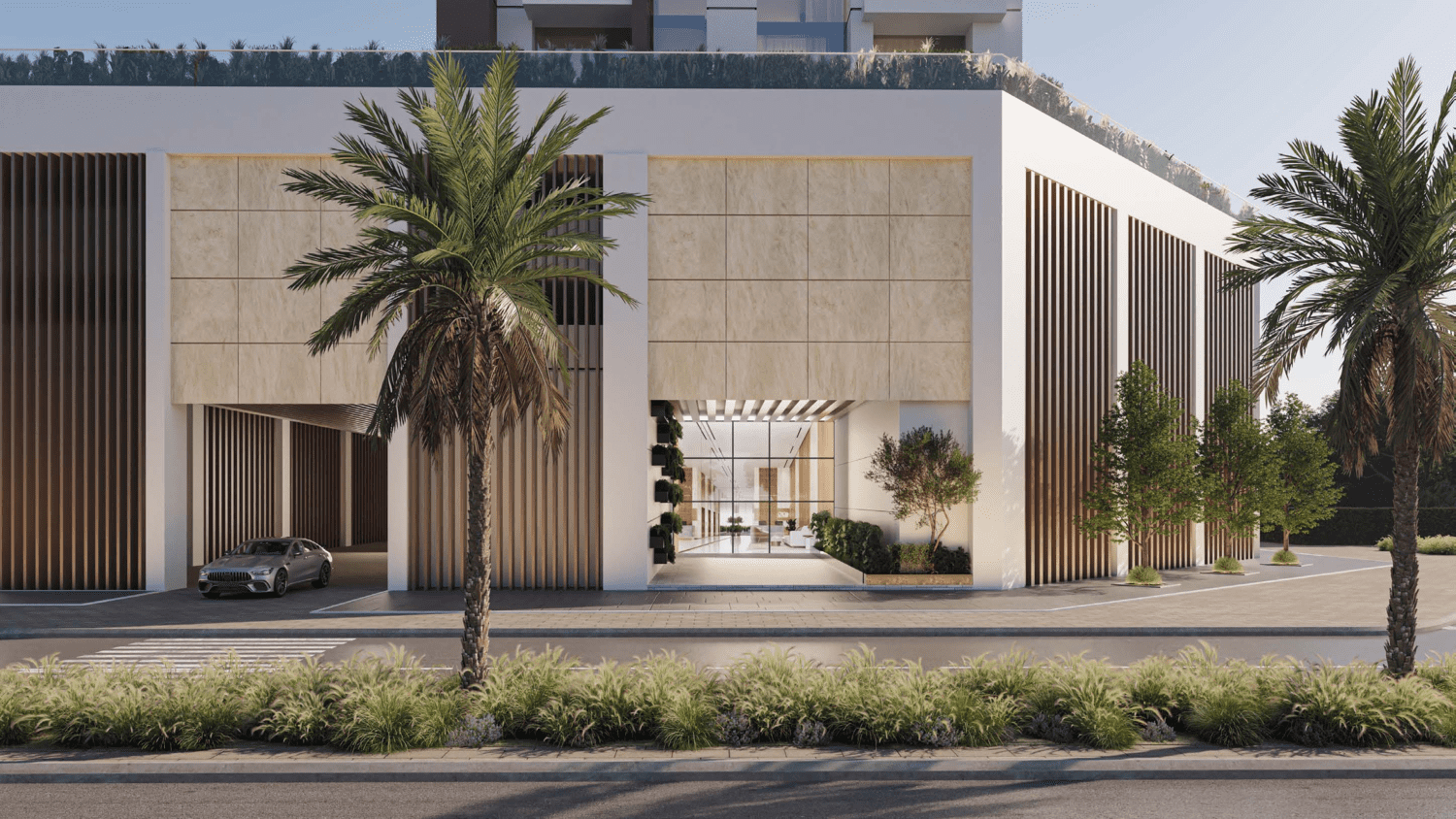Albero by ORO24 3