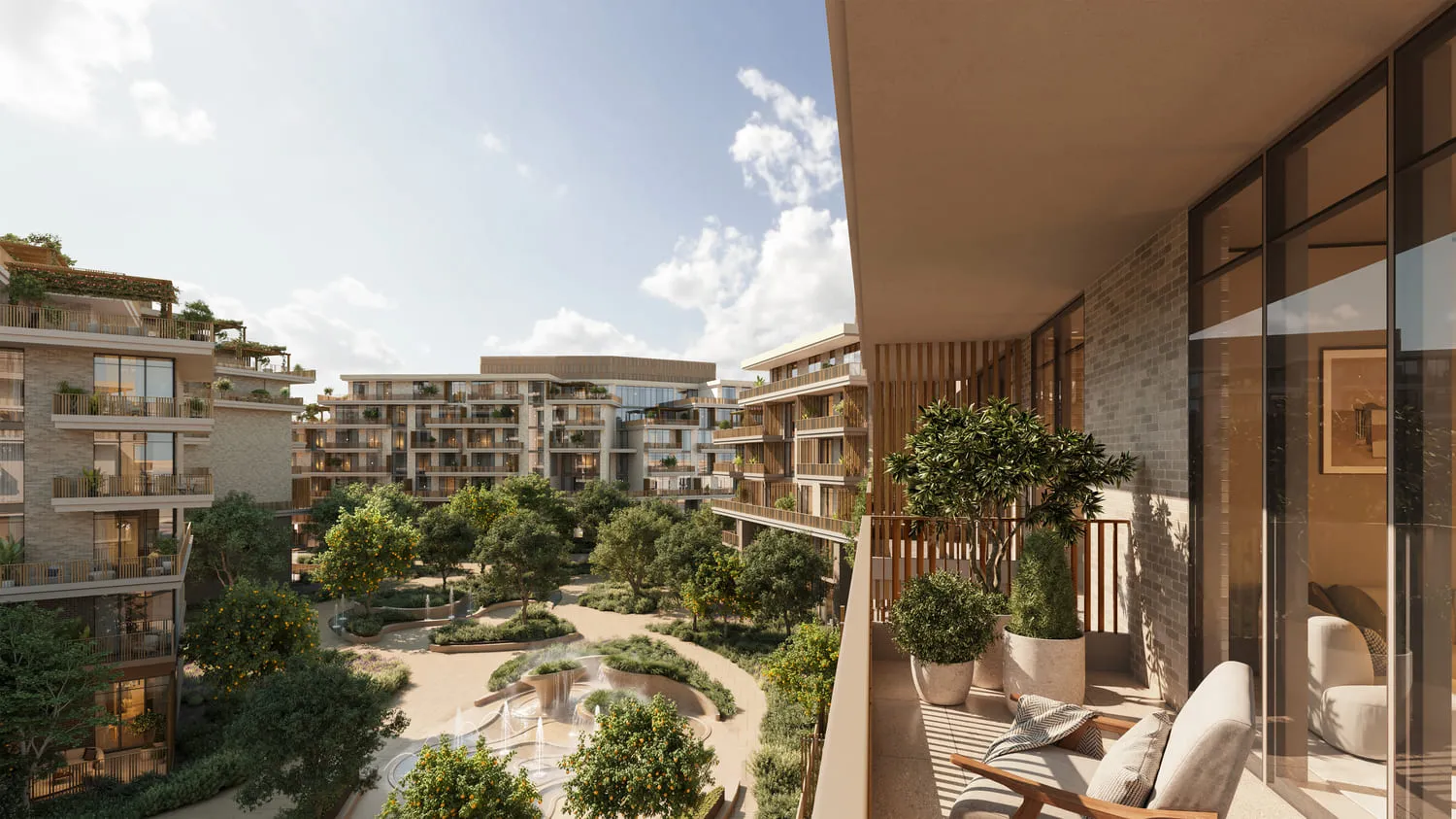 Arancia Yards 2 5