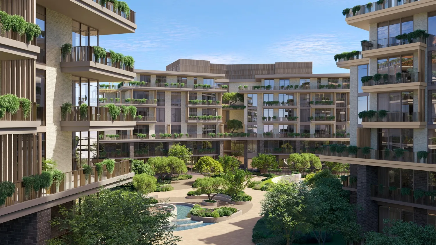 Arancia Yards 2 6