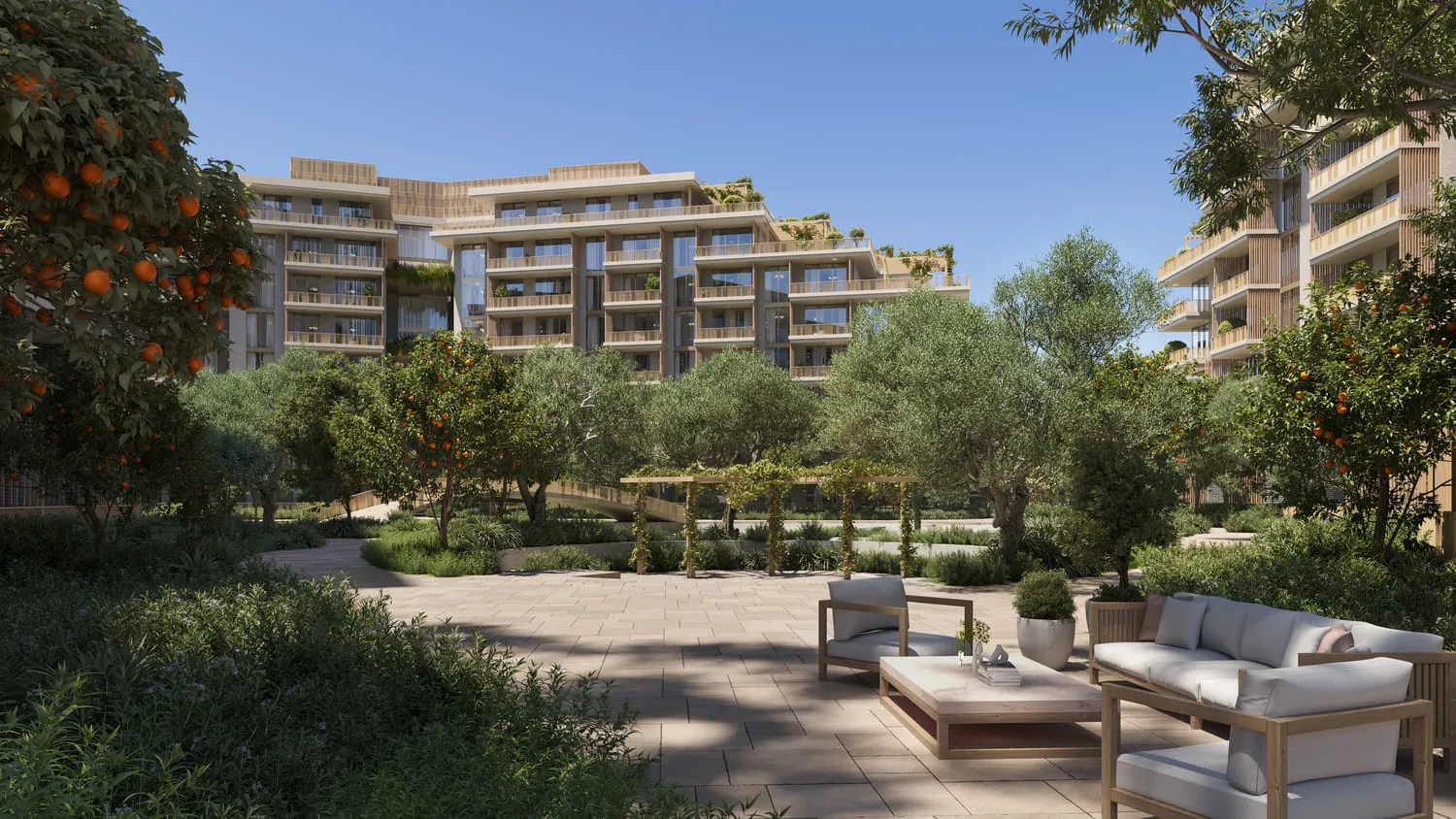 Arancia Yards 2 7