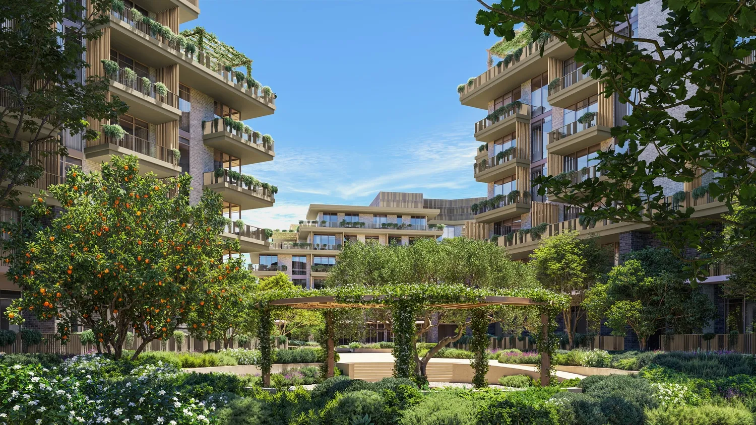 Arancia Yards 2 8
