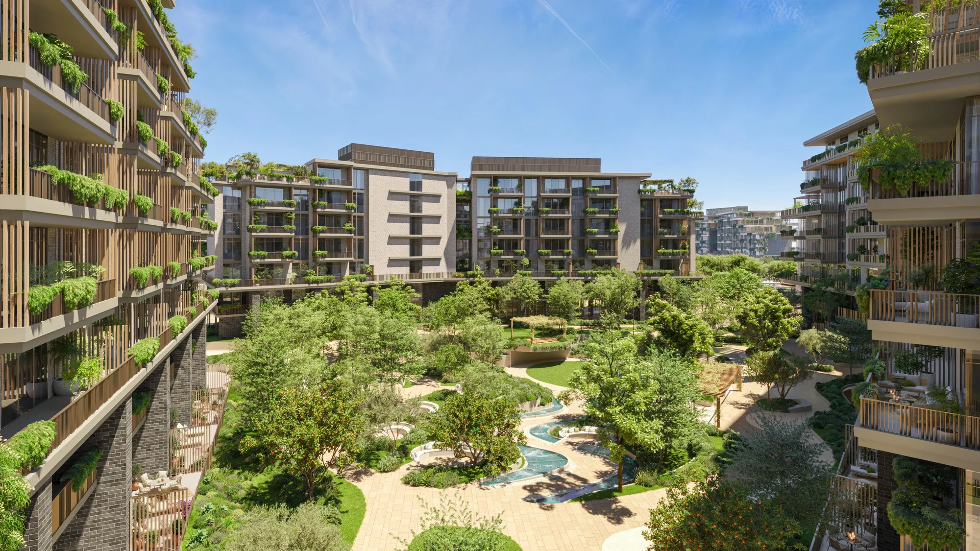 Arancia Yards — 2
