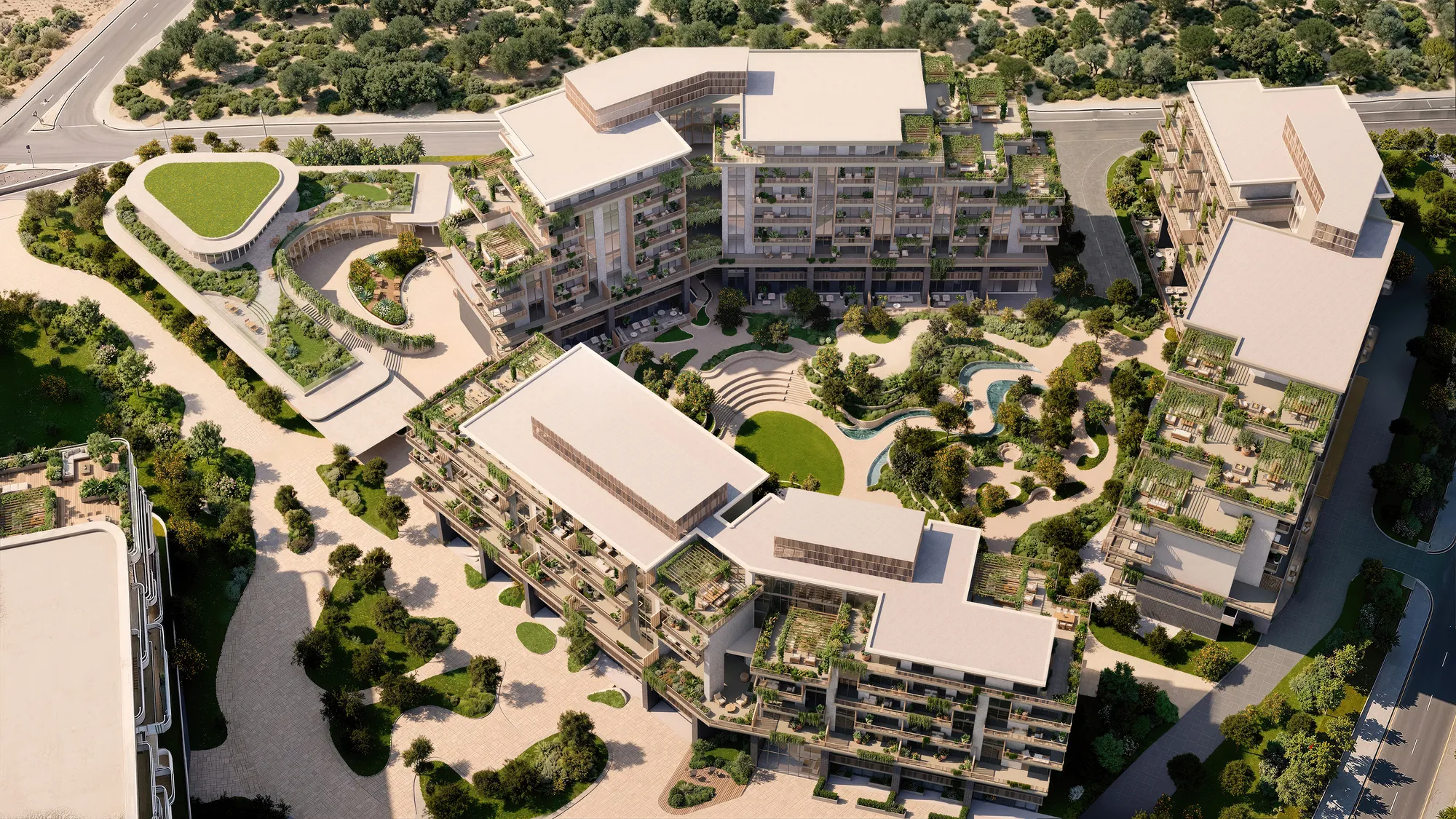 Arancia Yards 3