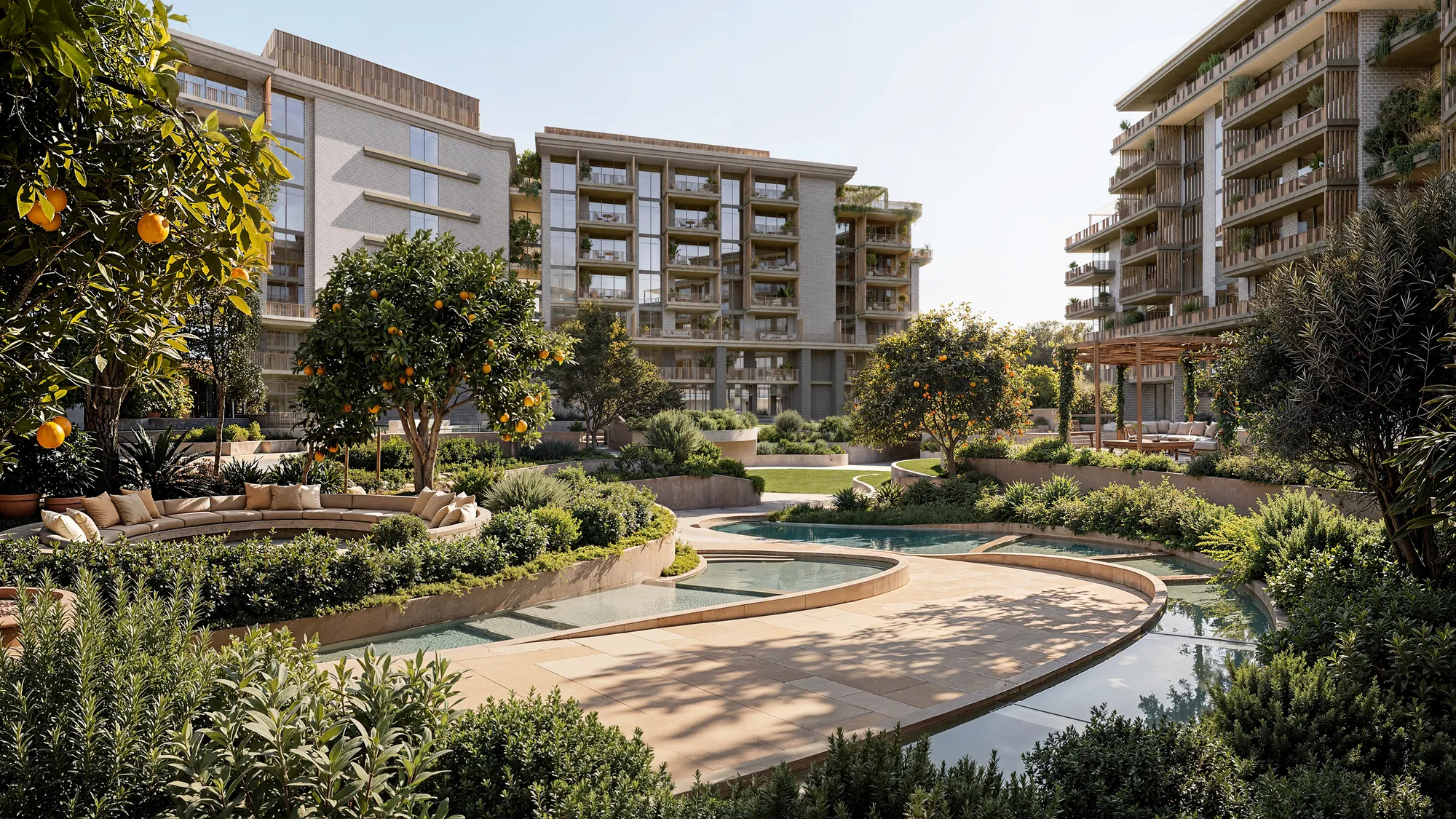 Arancia Yards 6