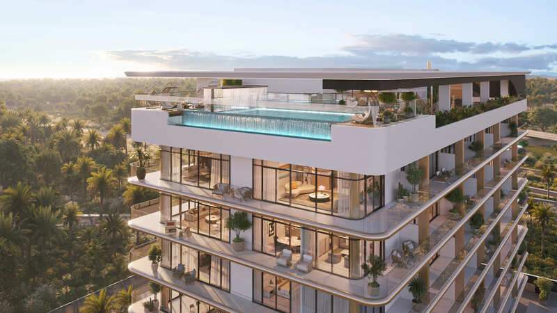 Celeste Heights