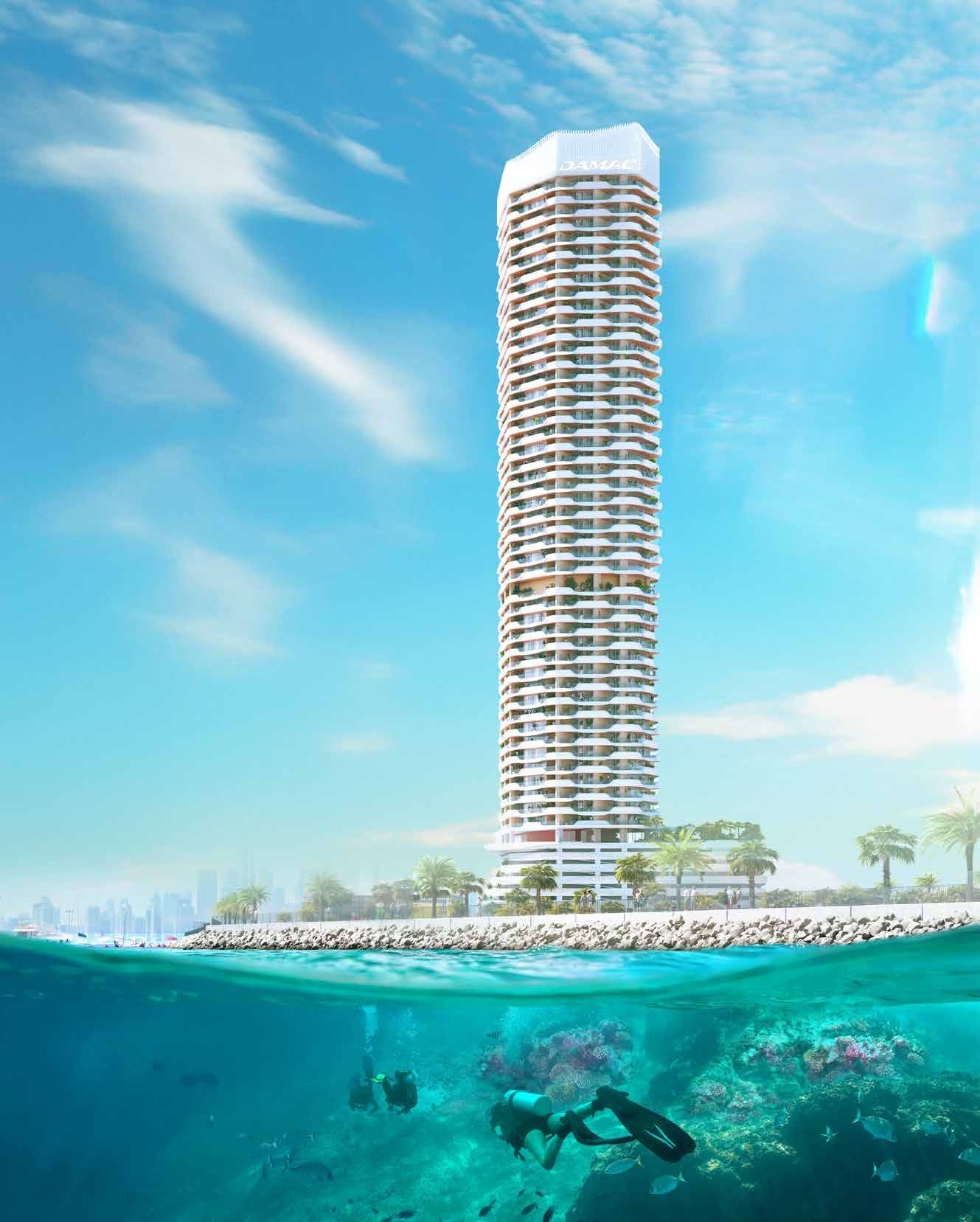 Coral Reef 6