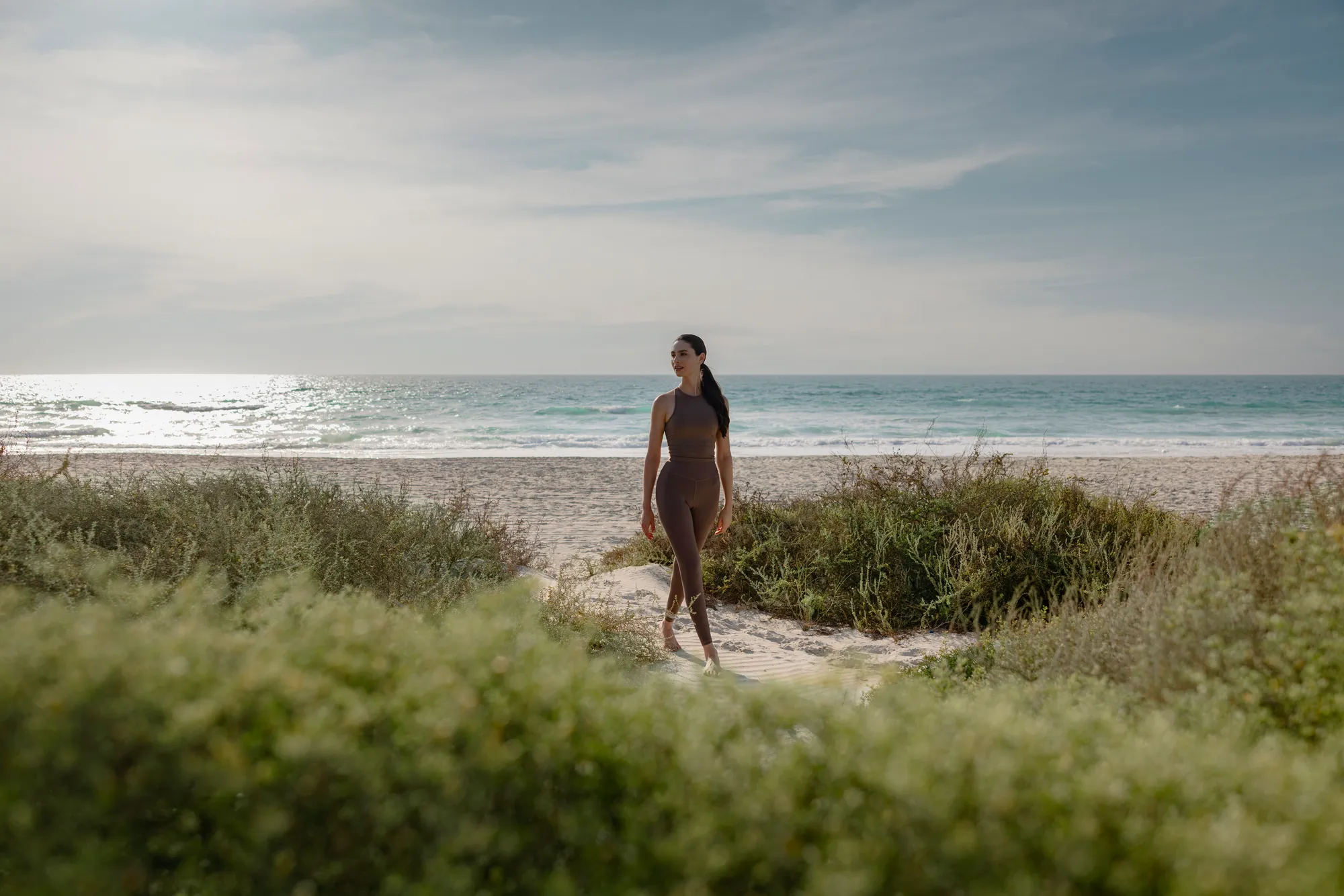 A path through dune grasses to the beach