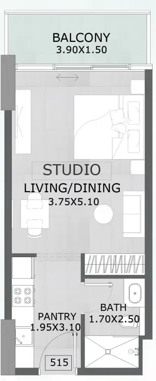 Floarea Grande Studio floor plan, 425 sqft