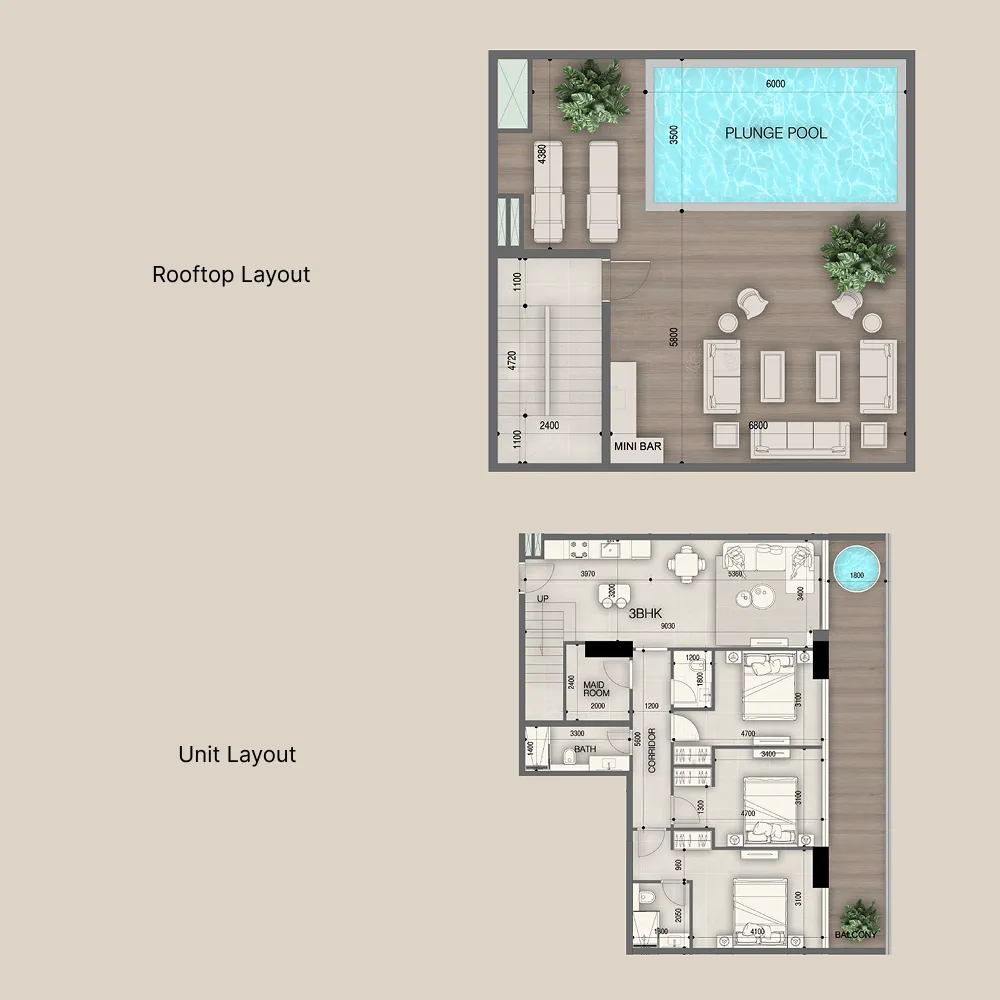 Peace Avenue 3 bed floor plan, 2,582 – 2,819 sqft