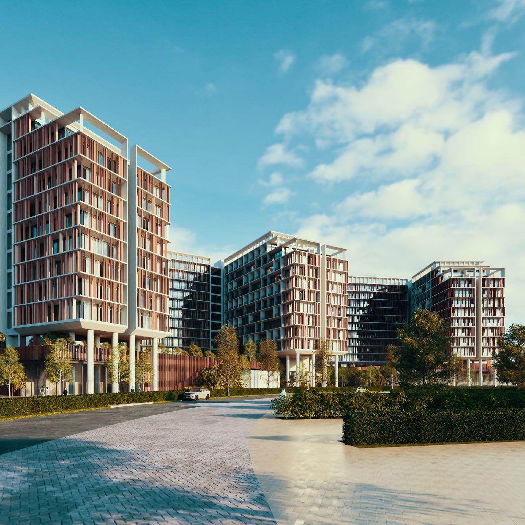 Park Five 6