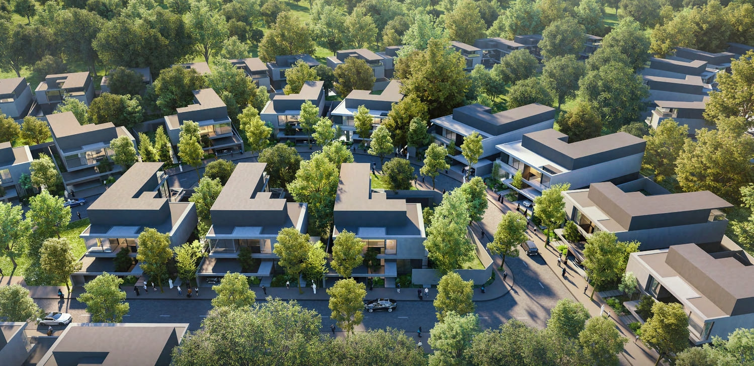 Sequoia — 3