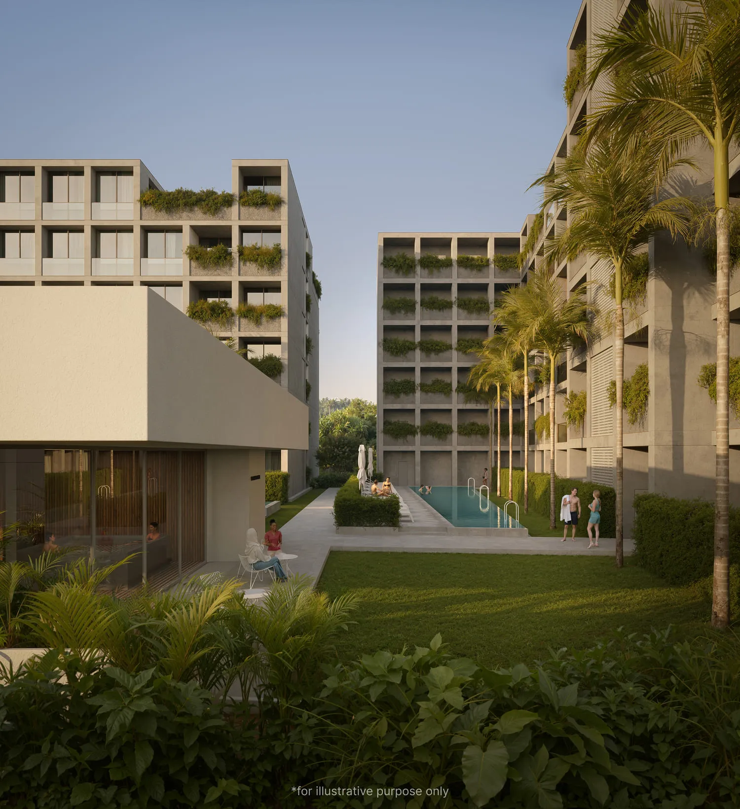 Terra Grove Layan — 2